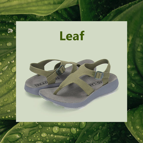 Women's Albion in Leaf