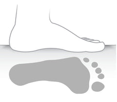 Medium Arch height foot