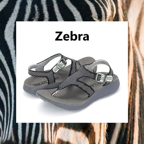 Women's Albion in Zebra