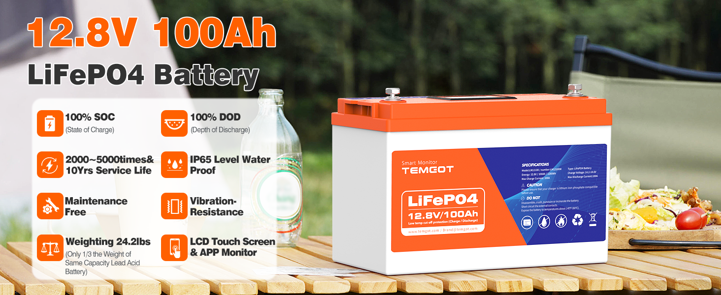 12V 100Ah battery parameter