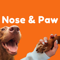nose and paw care