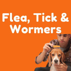 Flea, tick & worm protection