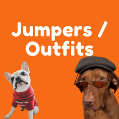 jumpers/outfits