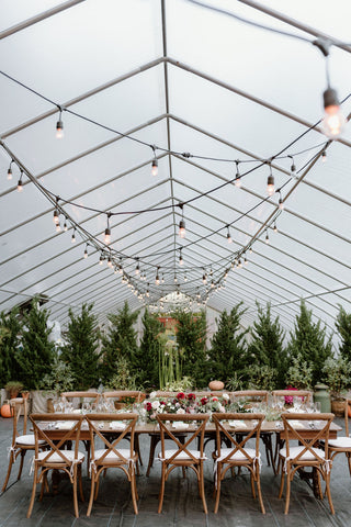 Gorgeous greenhouse wedding reception set up. Vibrant, deep red reception flower centerpieces.