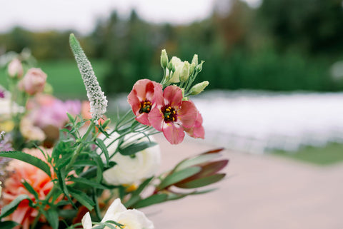 Zoomed in photo of fall wedding ceremony glower arrangement including dahlias, marigolds, sedum, celosia, ranunculus, lisianthus, mums, leucadendron, asclepia, eucalyptus, and amaranthus.