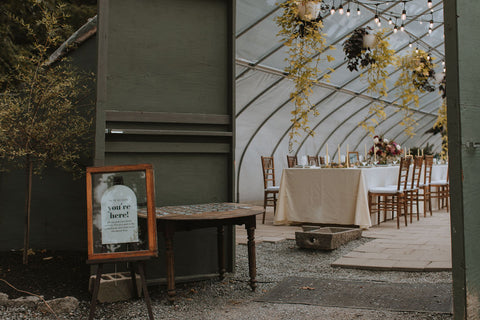 the Herb Lyceum greenhouse with overhead greenery wedding reception