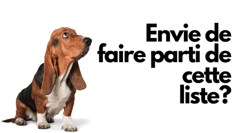 Un chien regardant un texte qui mentionne: Envie de faire partie de cette liste?