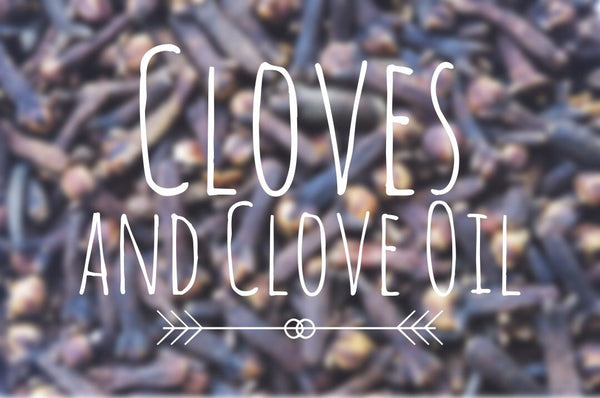 Cloves-and-Clove-Oil