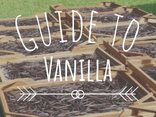 Guide to Vanilla