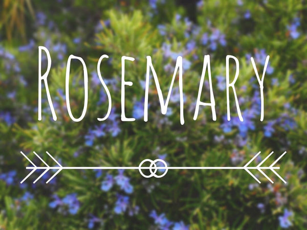 Rosemary