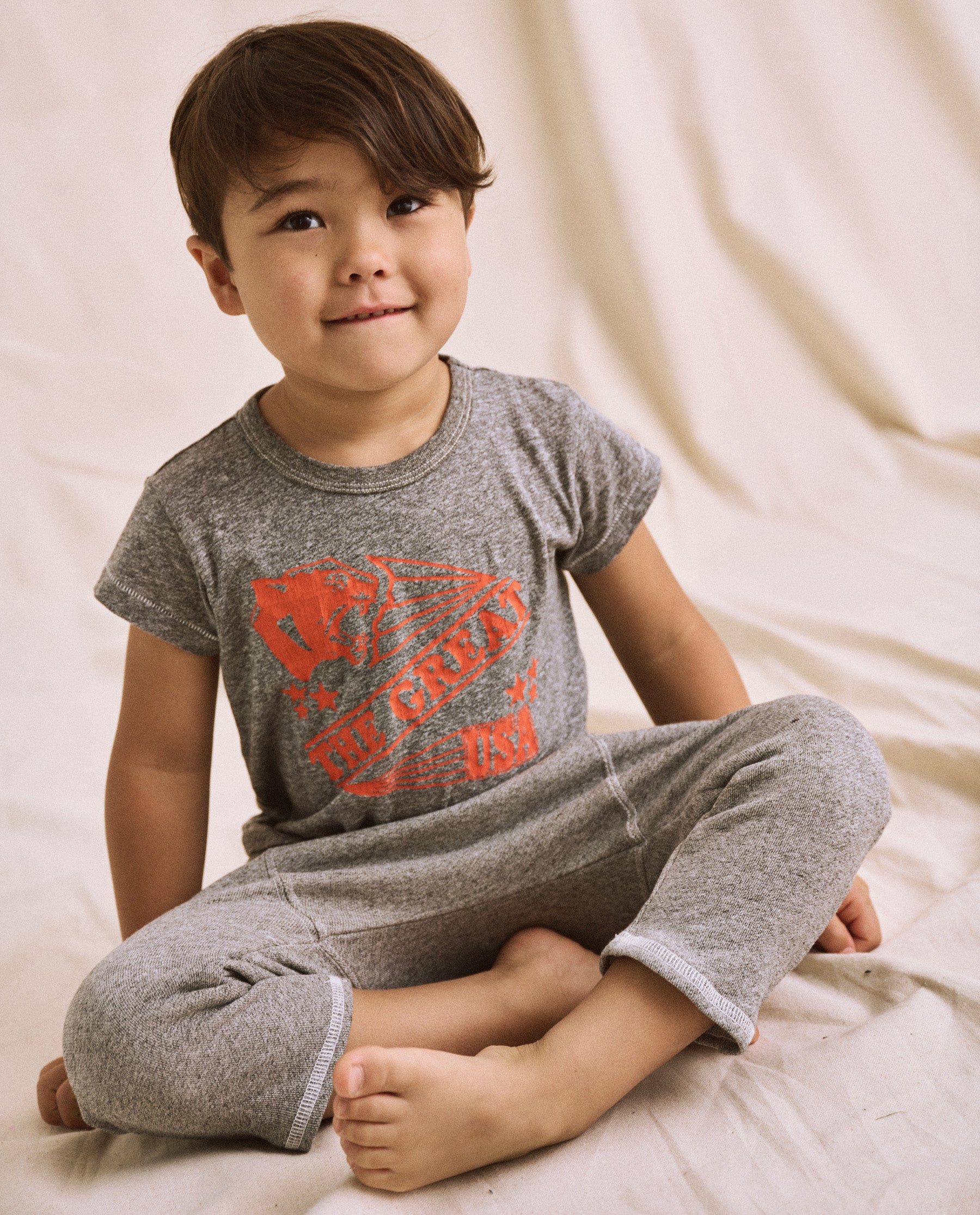 The Little Boxy Crew. -- Heather Grey with Cougar Graphic