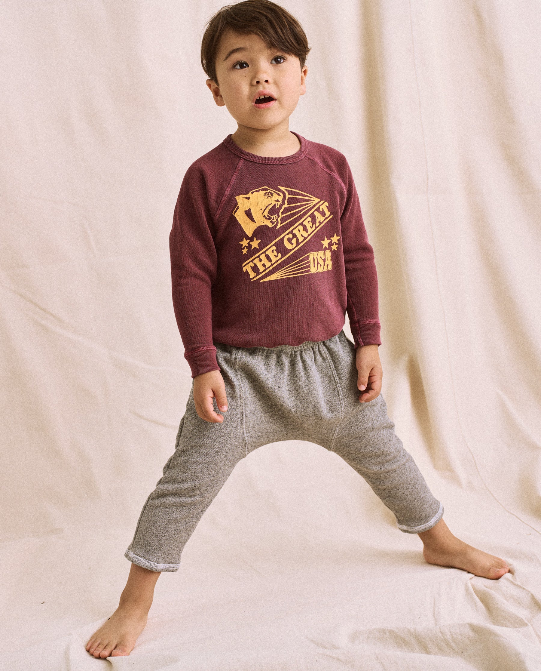 The Little College Sweatshirt. -- Rosehip with Cougar Graphic