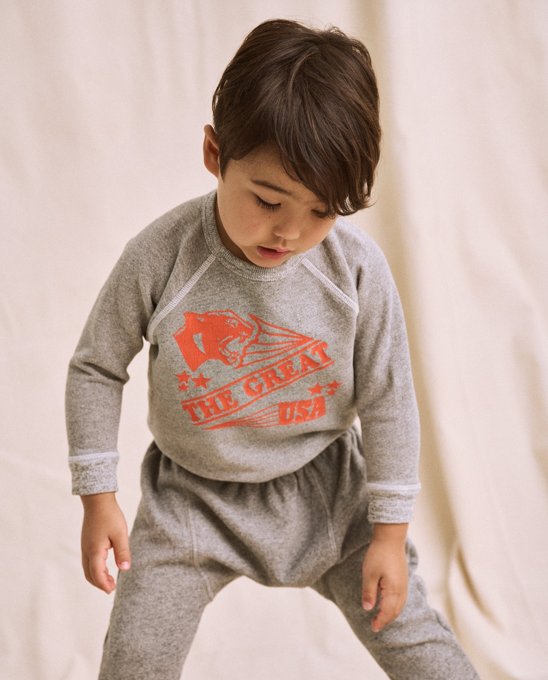 The Little College Sweatshirt. -- Varsity Grey with Cougar Graphic