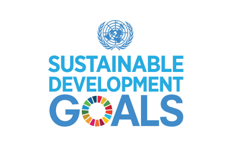 UN SDGs