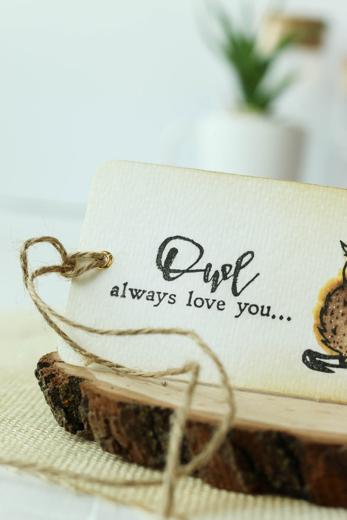 Cute tag with a watercolored image from Brutus Monroe. "Owl Always Love You!" 