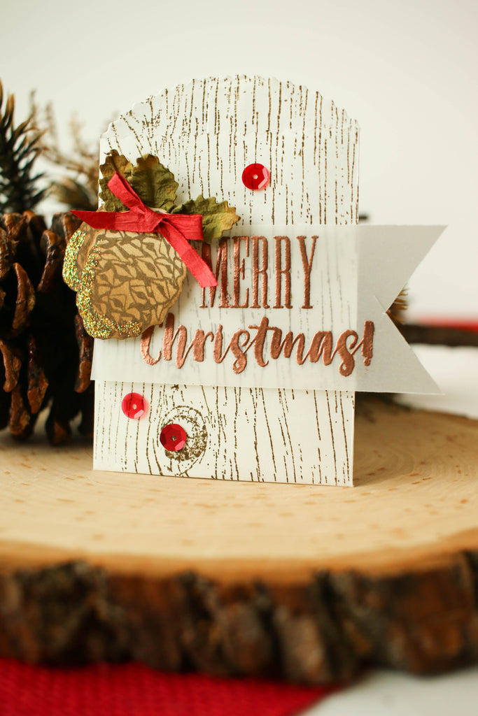 Mini paper bags make the perfect envelopes for Christmas gift cards!