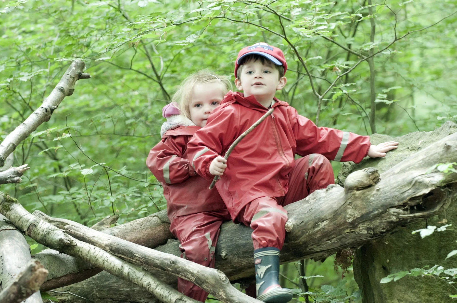 Two children in red raincoats sitting on a tree branch in a forest.