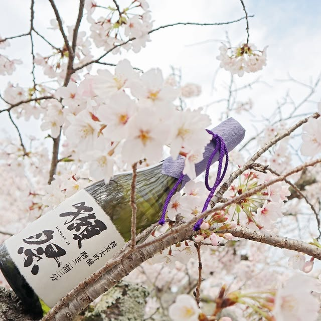 認識獺祭：日本清酒界的精品代表