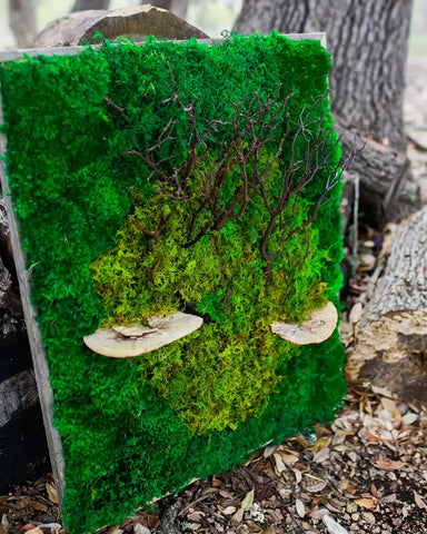 Preserved Moss Wall with Manzanita Branches and Mushrooms