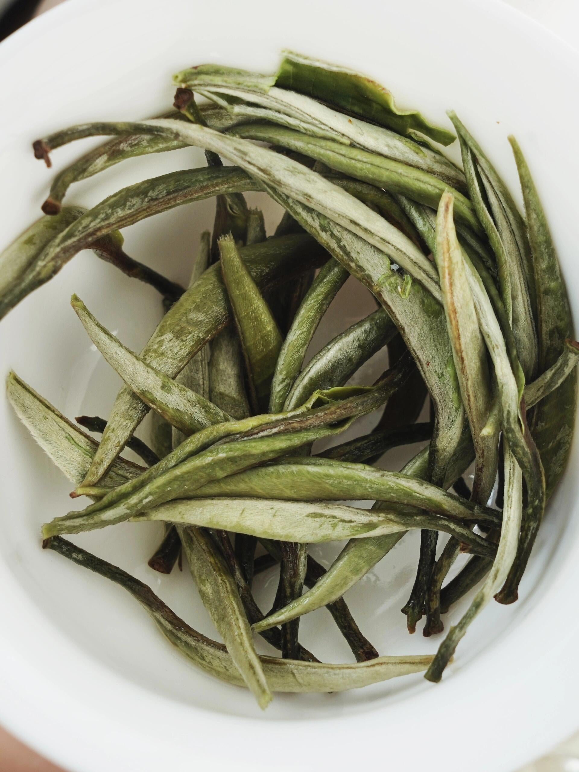 This is Chinese Yunnan silver needle white tea