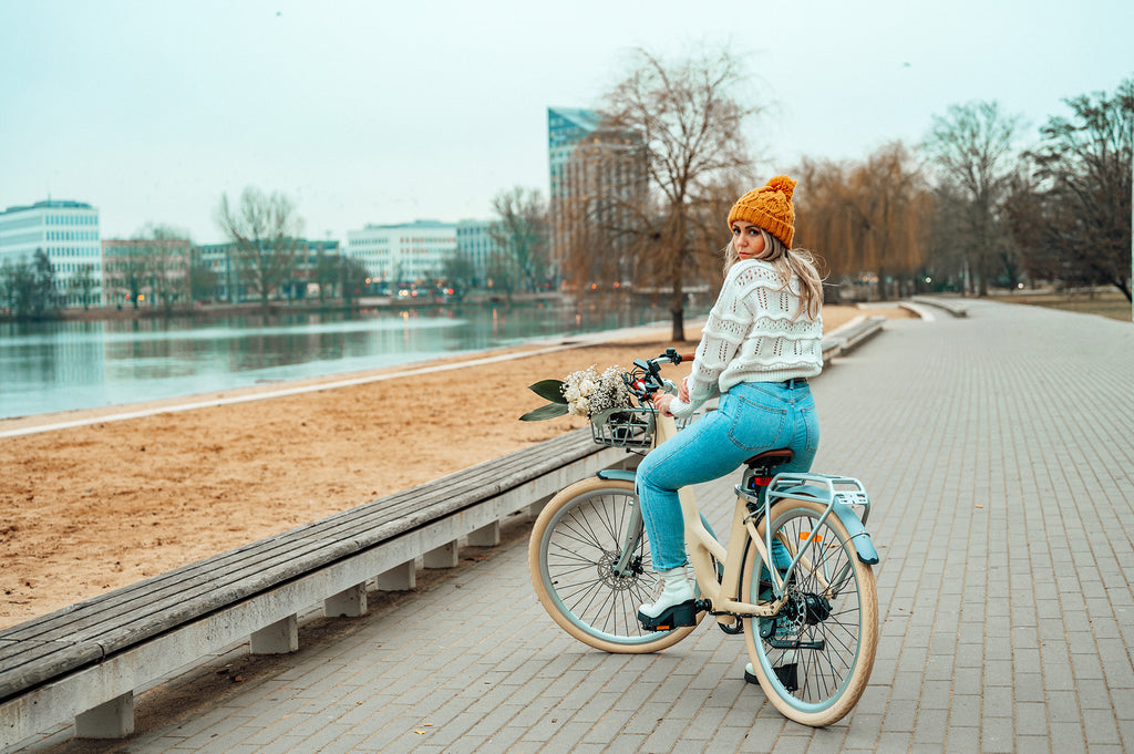 electric bike