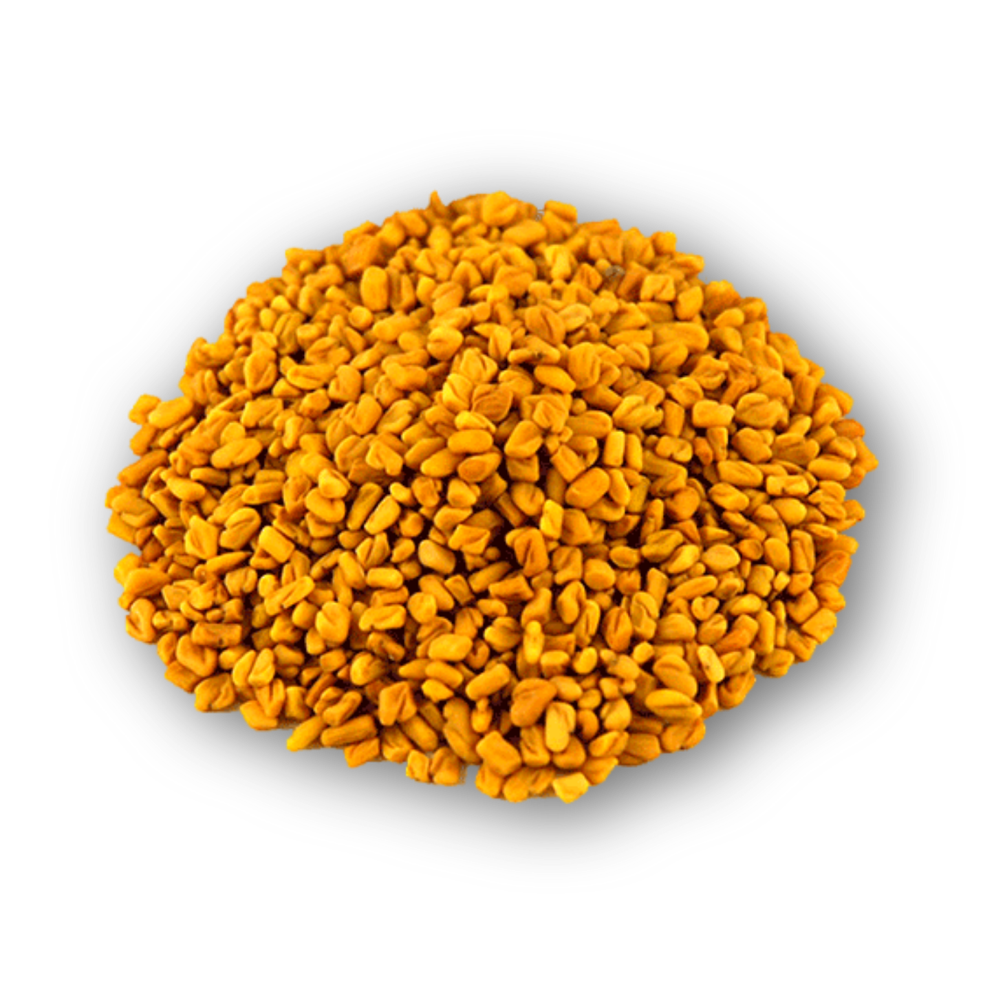 Fenugreek Seed