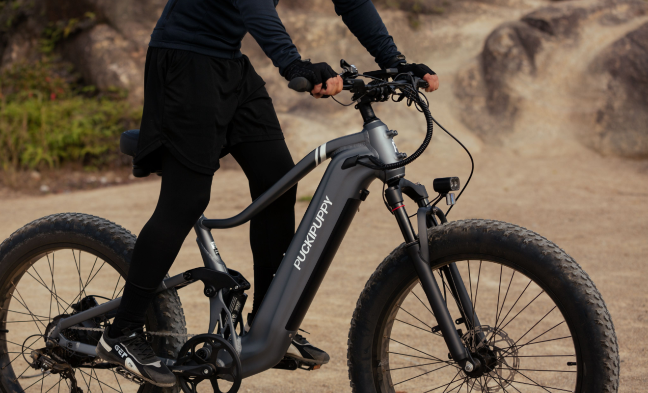 PUCKIPUPPY Boxer - all terrain electric bike