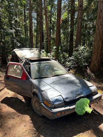 Typical Island Car on Lasquiti