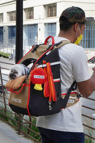 JIGE Bag | Pet Travel Backpack