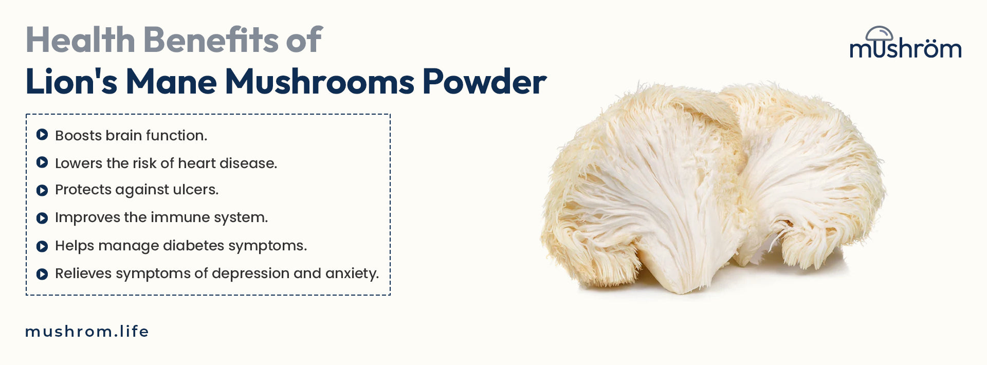 Health Benefits Of Lion's Mane Mushrooms Powder