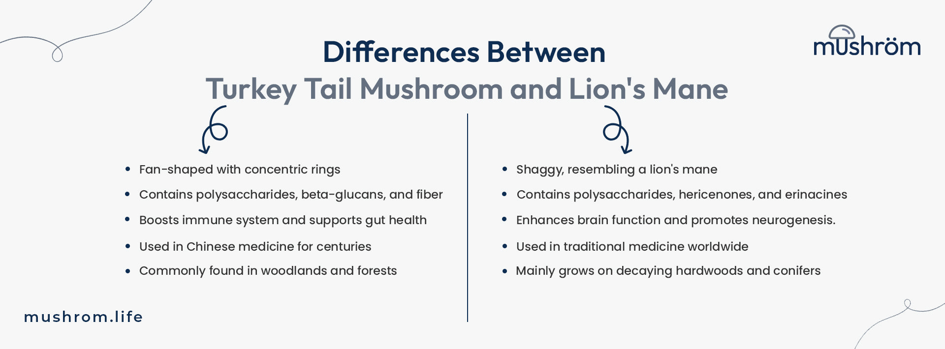 Differences between Turkey Tail Mushroom and Lion's Mane