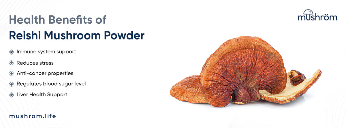 Health Benefits of Reishi Mushroom Powder