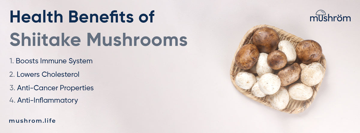 Health Benefits of Shiitake Mushrooms