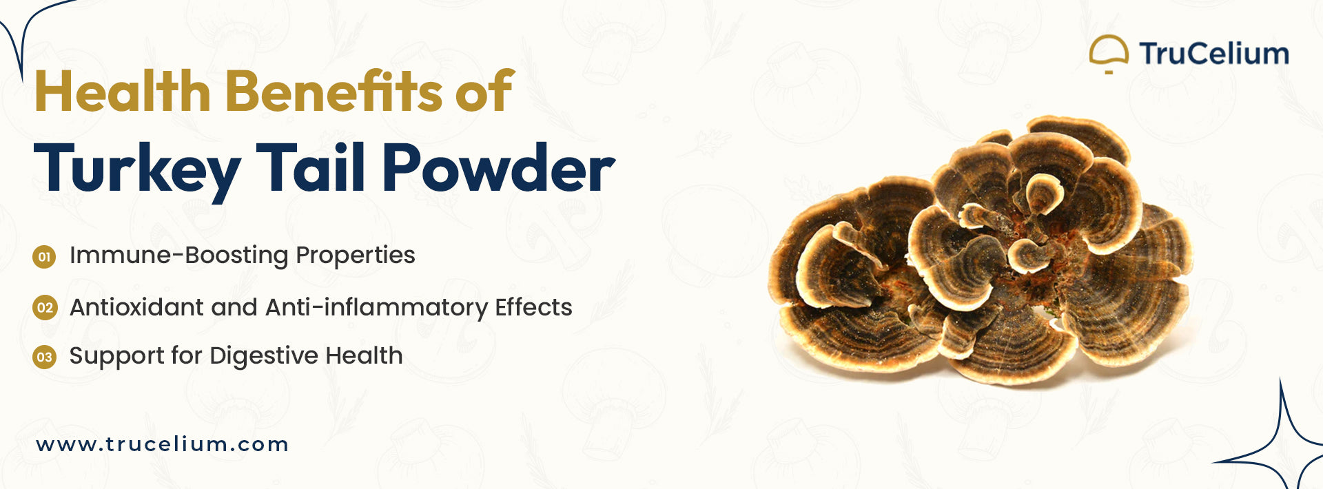 Health Benefits of Turkey Tail Powder