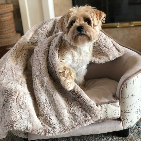 Dog and Cat Weighted Blankets