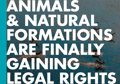 The Rights of Nature - A Collection of News Articles | ECW Press