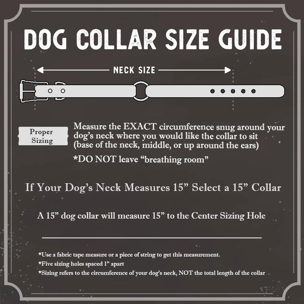 Dog Collar Sizing Guide