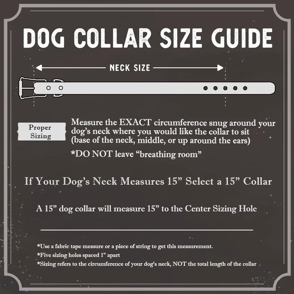 Dog Collar Sizing Giude