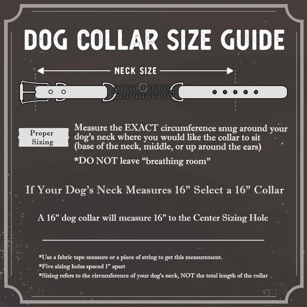 Dog Collar Sizing Guide