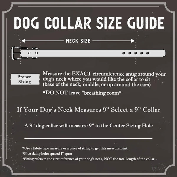 Dog Collar Sizing Guide