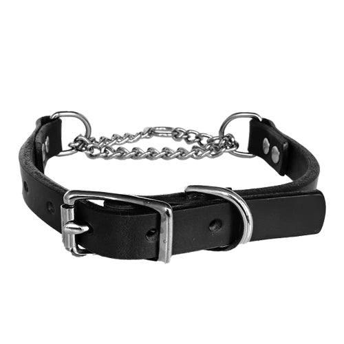 Martingale Dog Collar