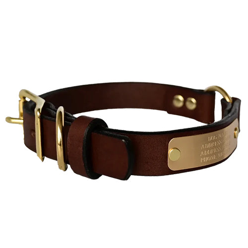 Personalized Center Ring Dog Collar