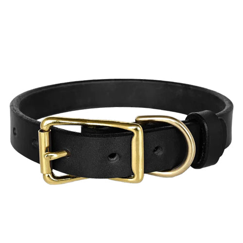 Standard Dog Collar