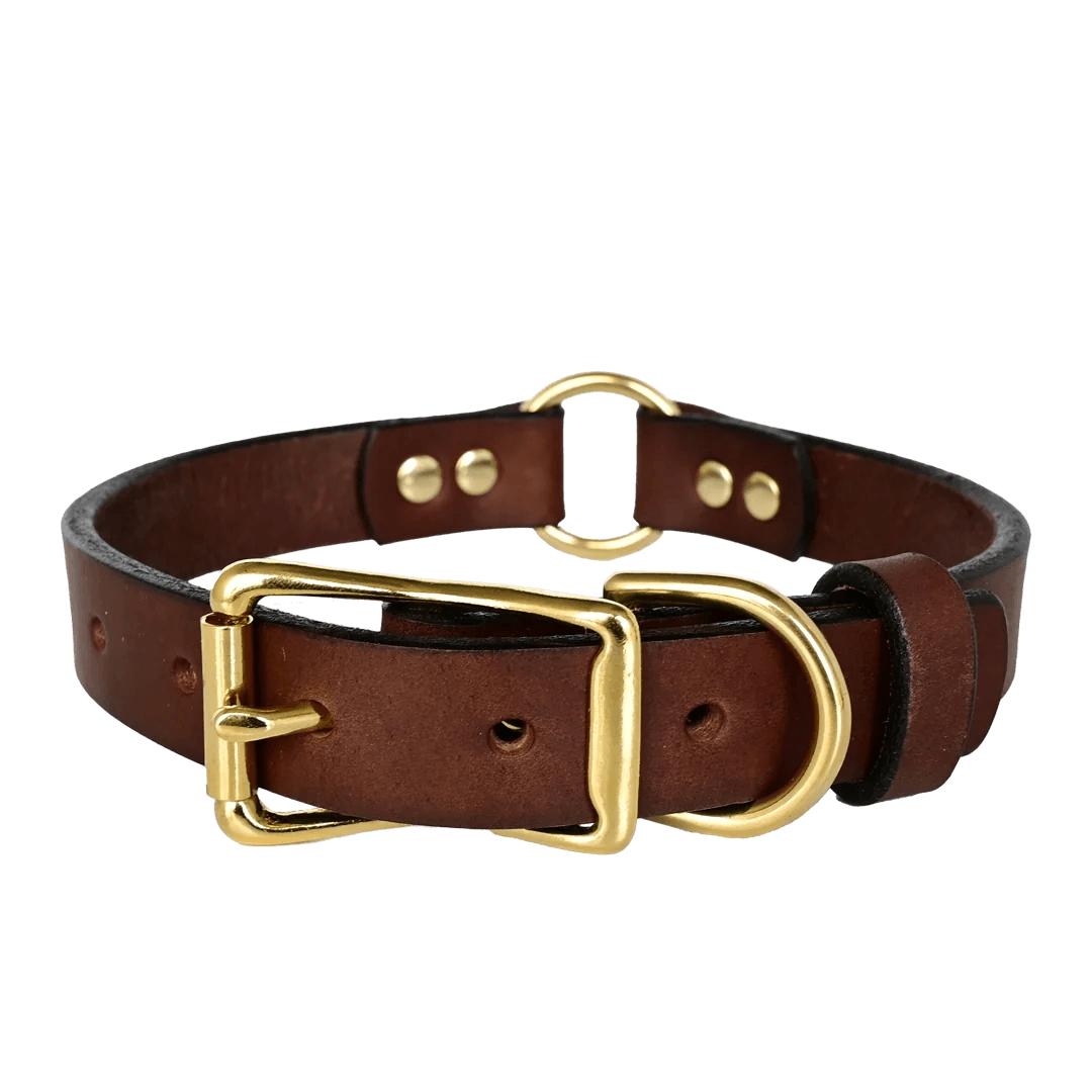 3/4 Leather Center Ring ID Dog Collar for Small Dogs with Large Brass Name Plate | Outdoor Dog Supply