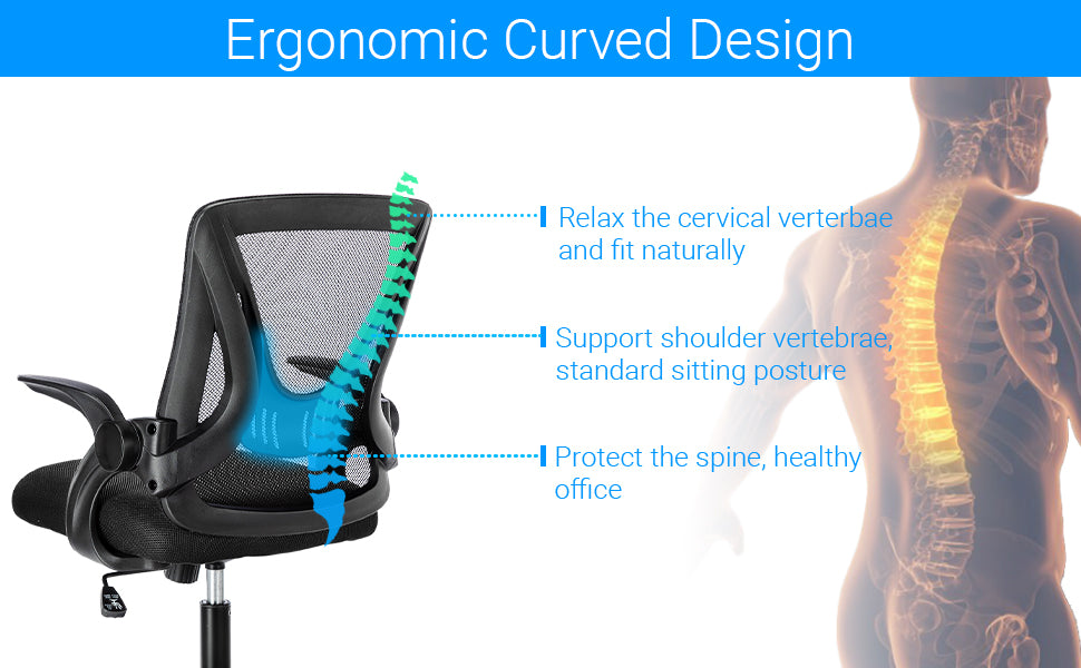 Ergonomic Office Chairs