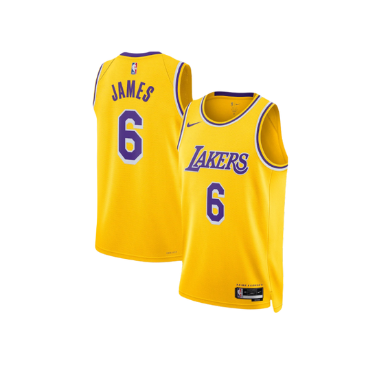 Anthony Davis Los Angeles Lakers Icon Edition Swingman Jersey