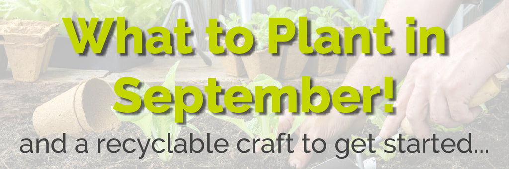 Header-What-To-Plant-In-September