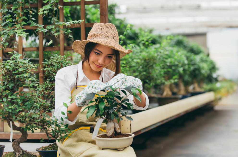 Women wearing hat, gloves and apron holding potted plant when gardening outside
