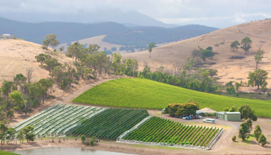 Yarra Valley, Victoria, Australia