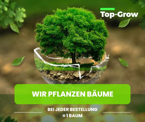 Wir pflanzen Bäume! Top-Grow